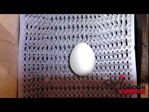 Plastic Laying Nest Pad