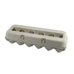 Pulp Egg Carton Container