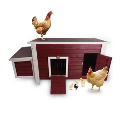 Outdoor Wooden Weatherproof Chicken House