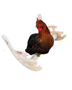 Chicken Rocking Chair Roosting Bar