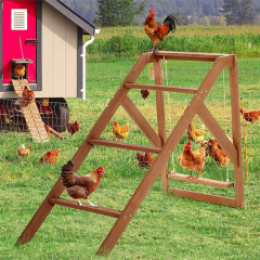Chicken Swing Set