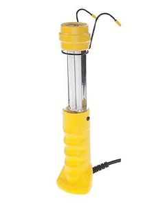 Hanging Chicken Coop light
