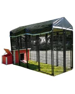 Value Chicken Coop With 4' X 8' Chicken Run (BASIC)