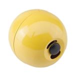 Chicken Fun Toy
