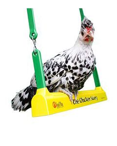 Chicken Exercise Swing 