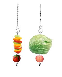 Vegetable Hanging Feeder Toy
