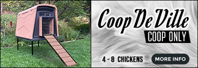 Coop DeVille Chicken Coop Only