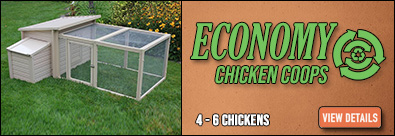 Economy Chicken Coops