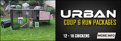 Urban Coop & Run Combo