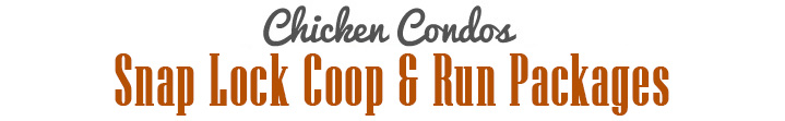 Urban Chicken Coop Title 